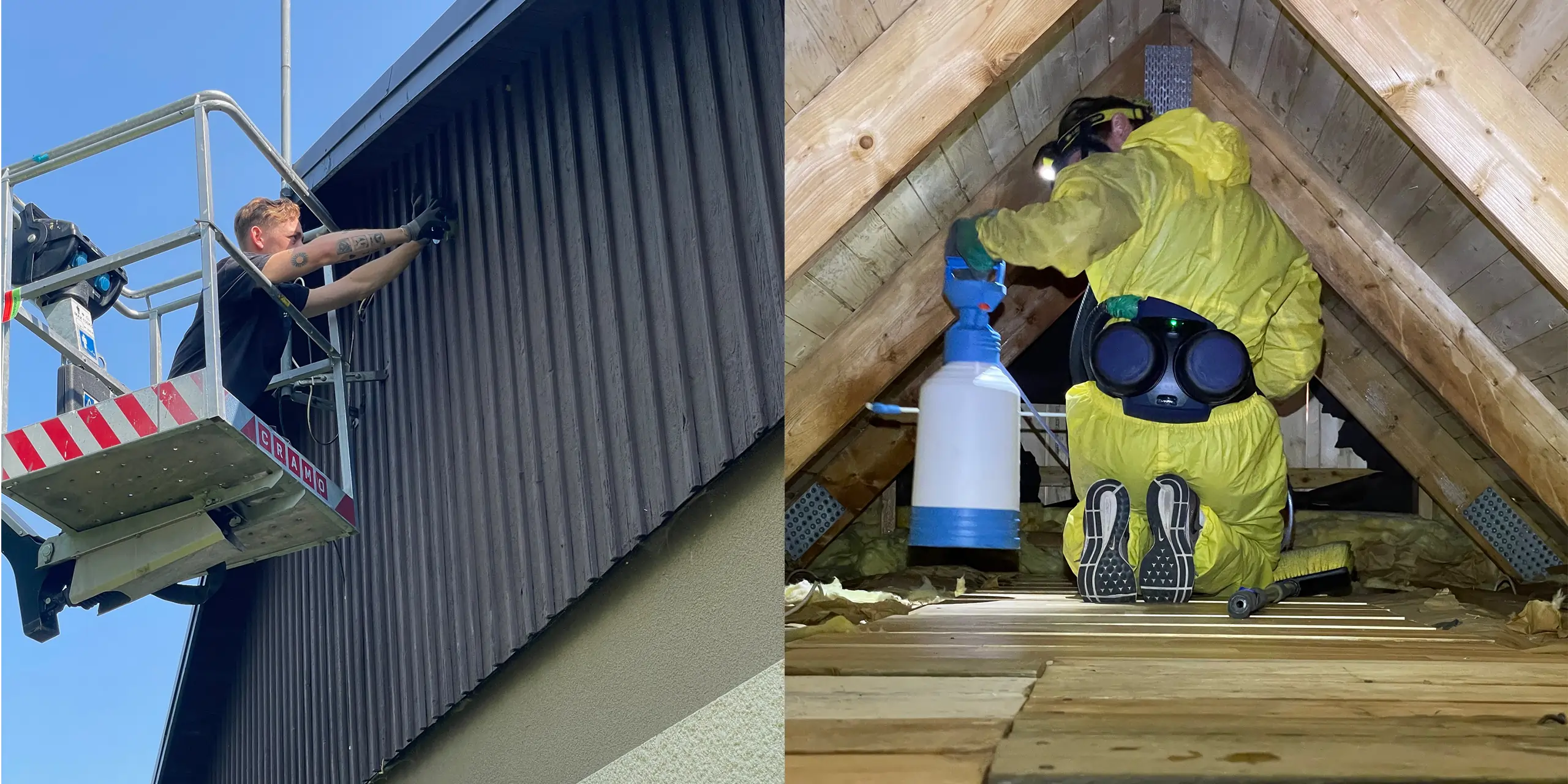 Mögelsanering och installation av avfuktare i Stockholm